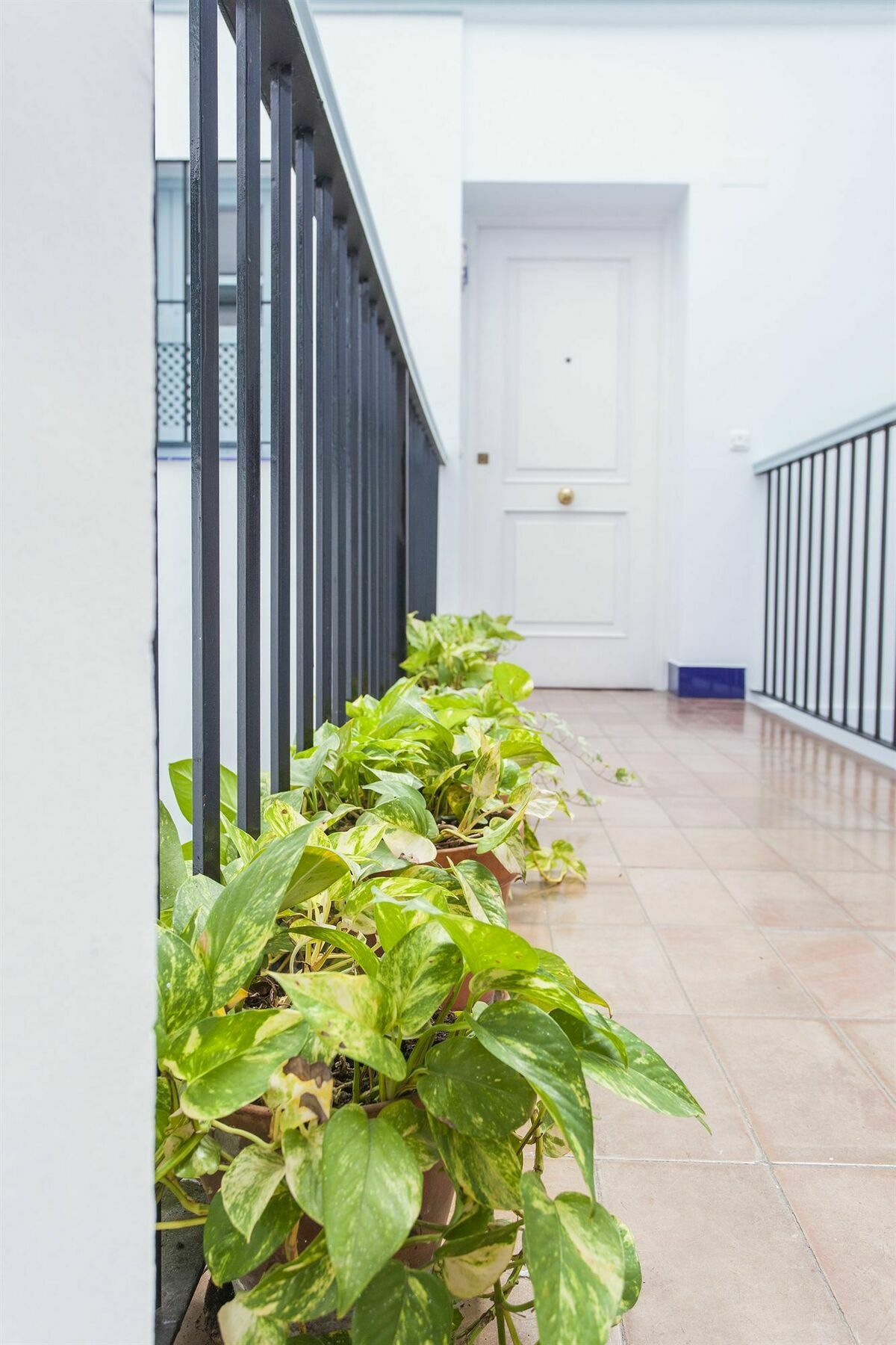 Santa Cruz Apartment Sevilla Bagian luar foto